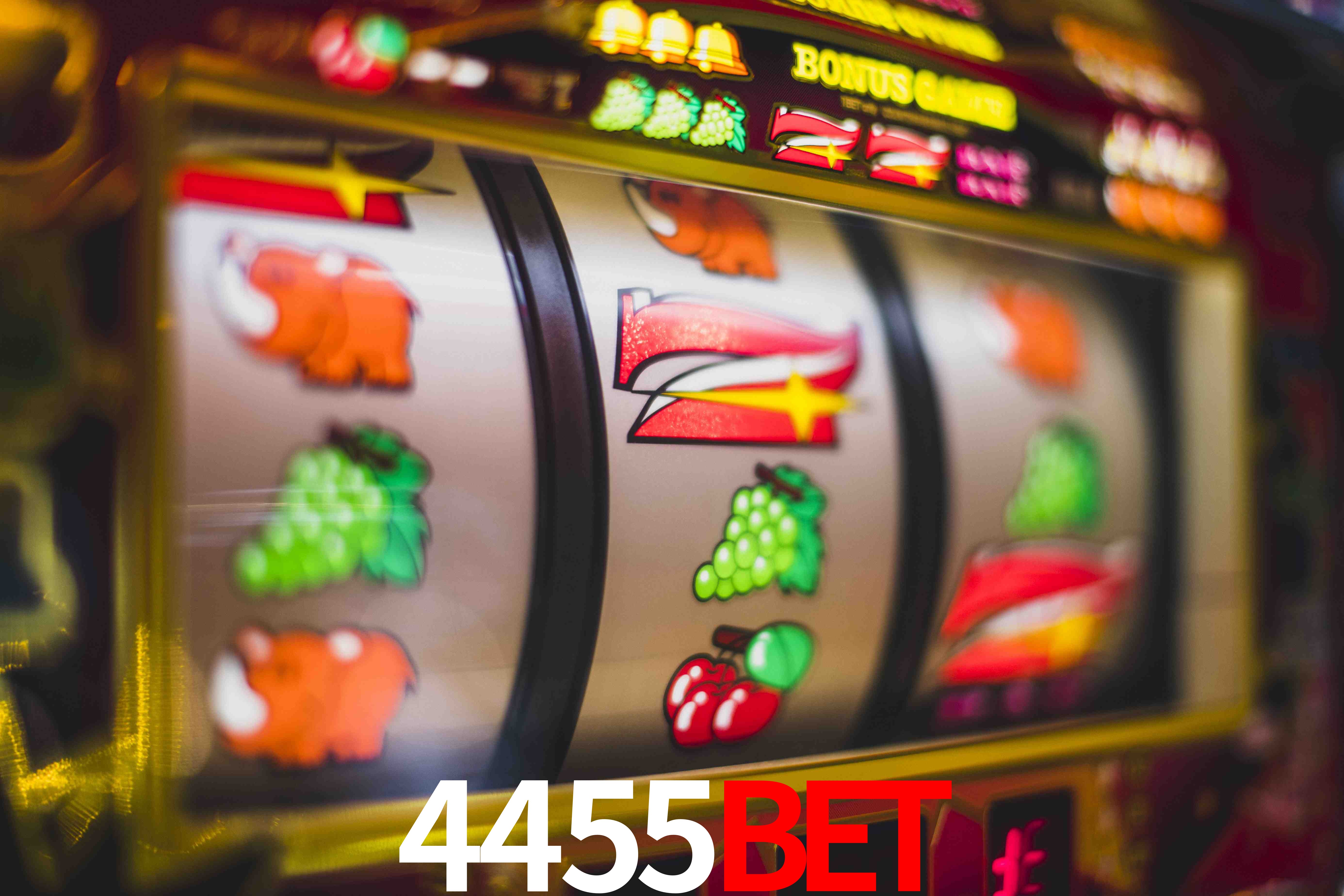 Experiência VIP 4455bet